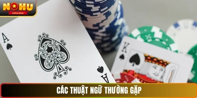 Các thuật ngữ thường gặp